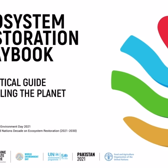 Ecosystem Restoration Playbook: A practical guide to healing the planet. UNEP, 2021