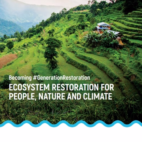 Becoming #GenerationRestoration: Ecosystem restoration for people, nature and climate. UNEP 2021.