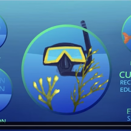Why are Blue Forests Useful? (2021) Syed Hasan Abbas, GRID-Arendal