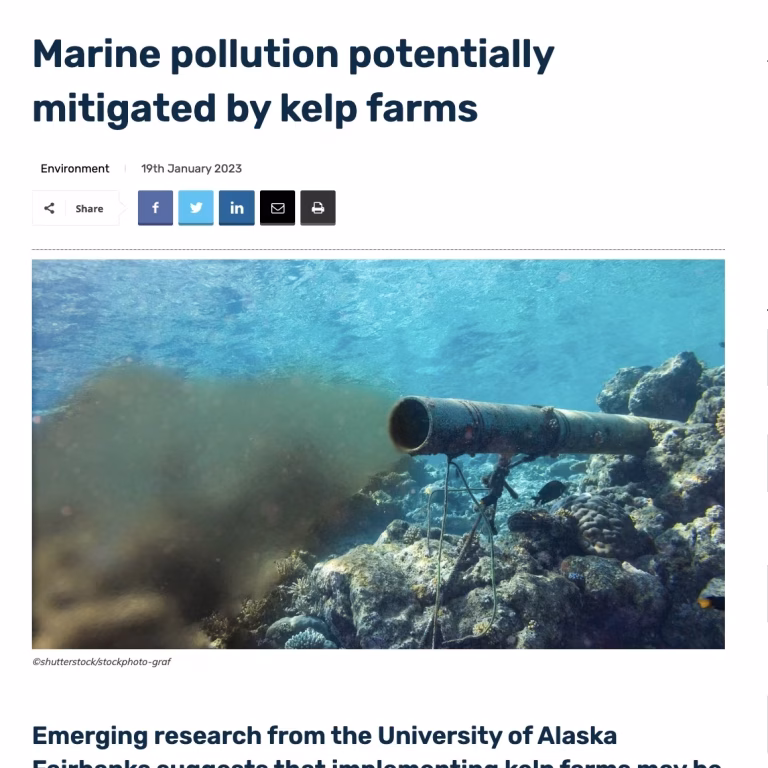 Marine Pollution Potentially Mitigated by Kelp Farms. INN, 2023
