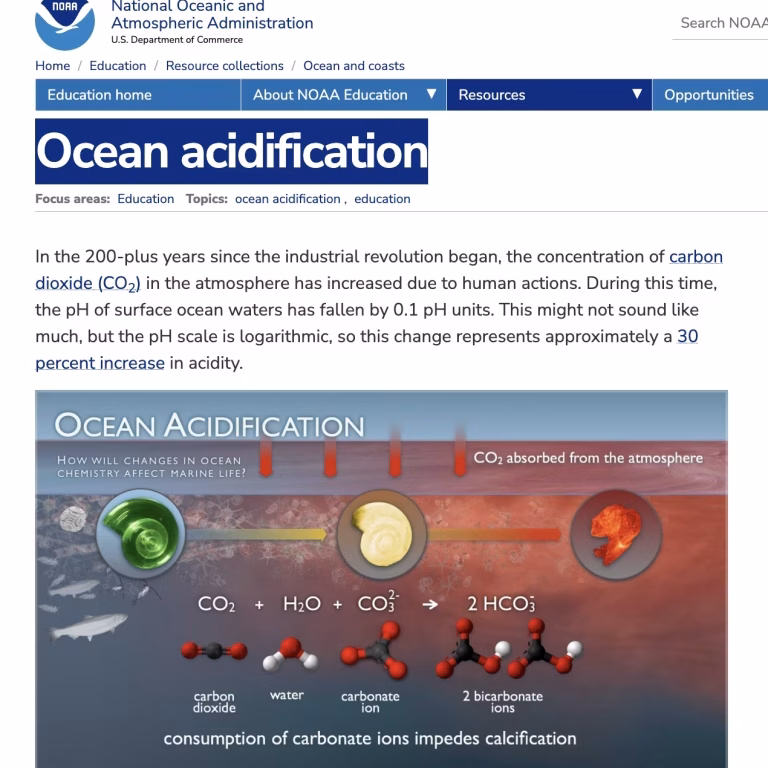 Ocean Acidification. NOAA 2020
