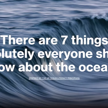 Our Incredible Ocean by The Ocean Agency
