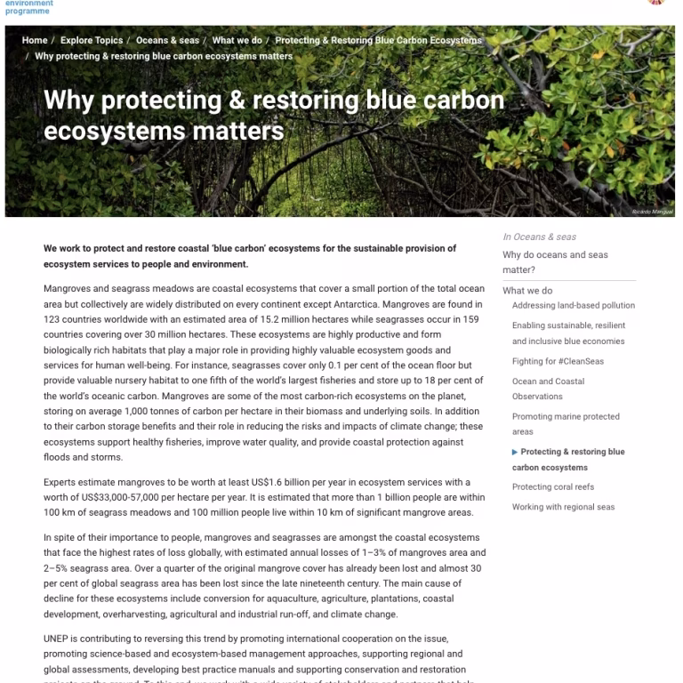 Why Protecting & Restoring Blue Carbon Ecosystems Matters. UN Environment Programme [accessed July 2023]