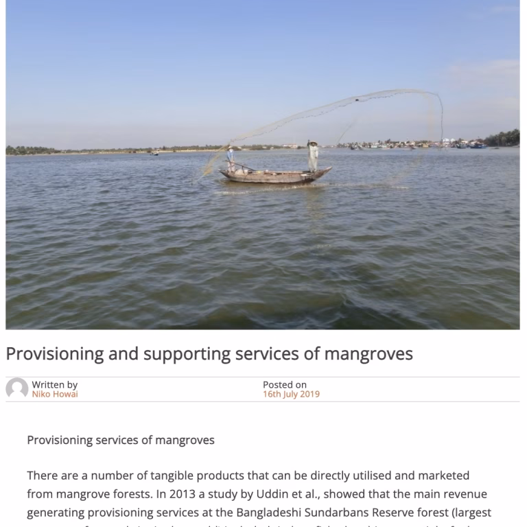 Provisioning and Supporting Services of Mangroves (2019). Niko Howai, University of Reading