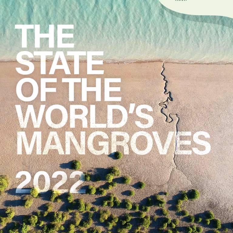 The State of the World’s Mangroves 2022, Leal, Maricé and Spalding, Mark D (2022).