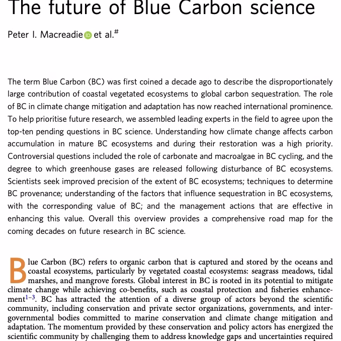 The Future of Blue Carbon Science. Macreadie et al., 2019