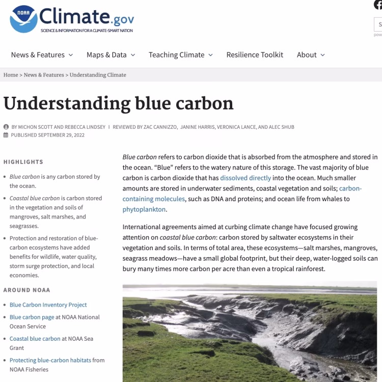 Understanding Blue Carbon (2022). Michon Scott and Rebecca Lindsey, NOAA