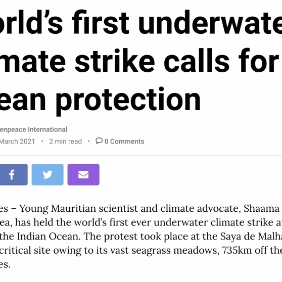 Underwater-climate-strike_M5-BBF.avif